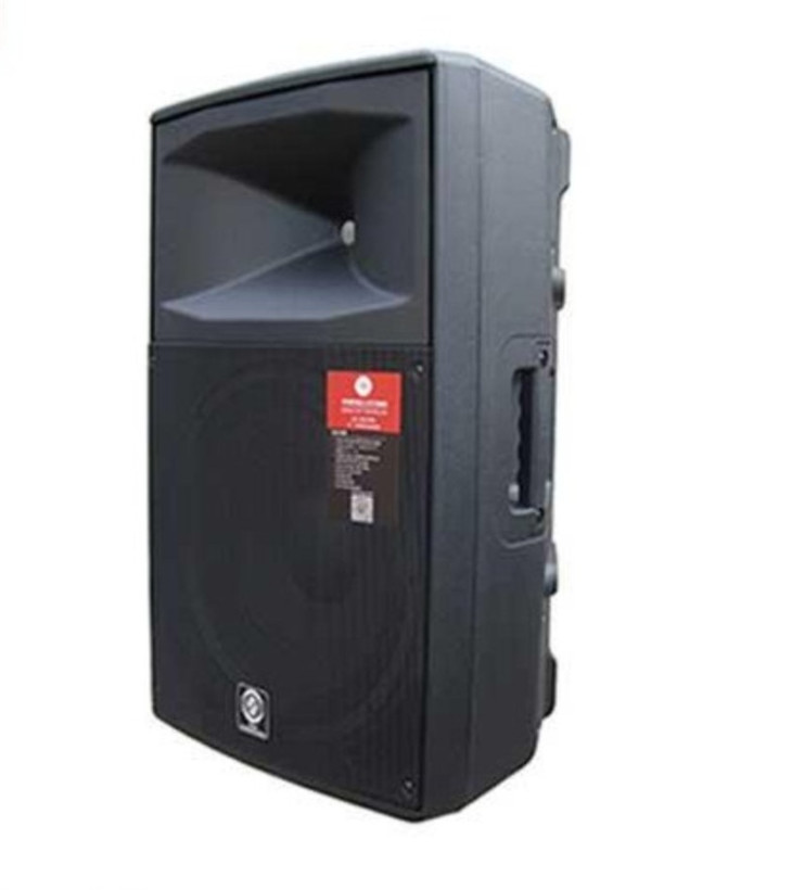 باند اکتیو زیکو مدل DX150A PRO سایز ۱۵ اینچ