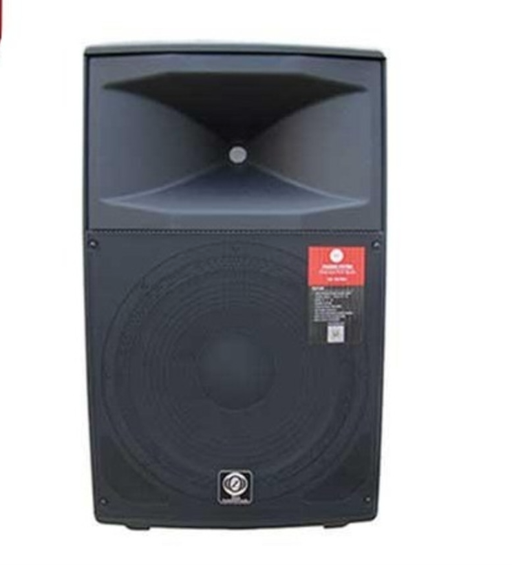 باند اکتیو زیکو مدل DX150A PRO سایز ۱۵ اینچ